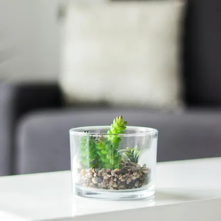 Apartmán Cosy A 2 Pas De La Croisette *