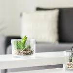 Apartment Cosy A 2 Pas De La Croisette Cannes